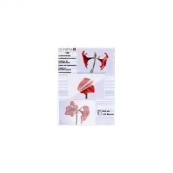 Olympia 9178 Fundas de laminar A6, 125 micras, transparente, 100 uds.