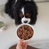 Paka Zwierzaka Pepe Comida húmeda para perros con ciervo 400g