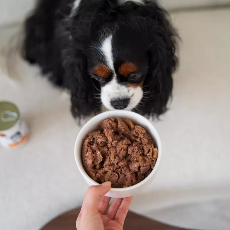 Paka Zwierzaka Pepe Comida húmeda para perros con ciervo 400g