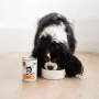 Paka Zwierzaka Pepe Comida húmeda para perros con ciervo 400g