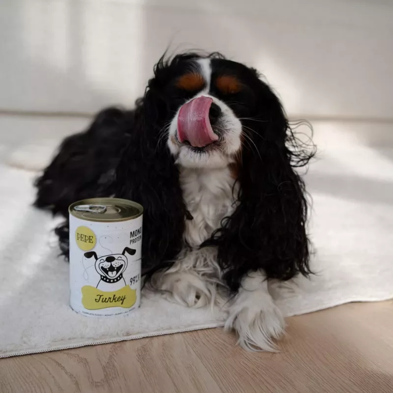 Paka Zwierzaka Pepe Pavo Alimento húmedo para perros 400g