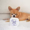 PAKA ZWIERZAKA Cerdo con arándanos Mono Comida húmeda para perros 150g