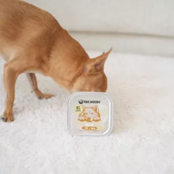 PAKA ZWIERZAKA Conejo y jabalí con calabaza - Alimento húmedo sin cereales para perros - bolsa de 150g
