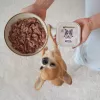 PAKA ZWIERZAKA pavo y arándanos alimento húmedo para perros – sin cereales, bolsa de 150 g