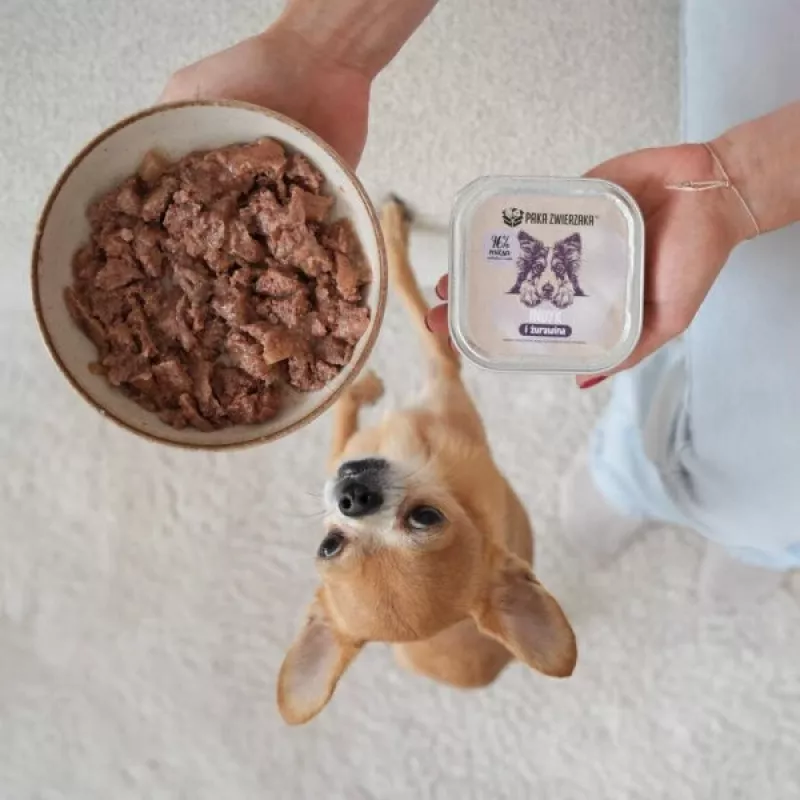 PAKA ZWIERZAKA pavo y arándanos alimento húmedo para perros – sin cereales, bolsa de 150 g