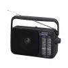 Radio analógica portátil AM/FM Panasonic RF-2400DEG-K - Negra