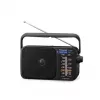 Radio analógica portátil AM/FM Panasonic RF-2400DEG-K - Negra