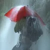Parasol Euroschirm Birdiepal Outdoor - Rojo