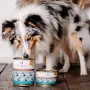 PERRO Carne de vacuno con raíz de perejil Comida húmeda para perros 850 g