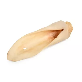 PETMEX Oreja de cordero blanca para perros Snack 10 uds.