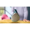 Philips DST2030/90 Plancha de vapor - 2000W, suela antiadherente, depósito de 270ml