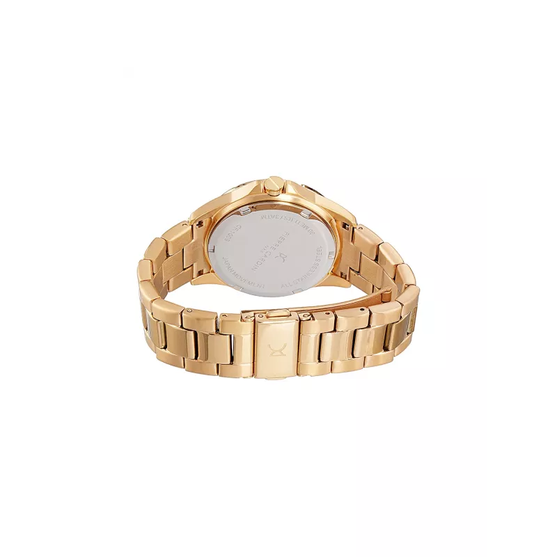 Pierre Cardin Reloj de mujer de cuarzo analógico CF.1009.MG.2 - 34mm Correa de malla de acero inoxidable tono oro
