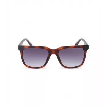 POLICE hombre gafas de sol SPLN34M540878 montura de acetato Havana lentes marrones 54mm