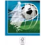 Servilletas de papel de 2 capas PROCOS Football Party pack de 20 33x33 cm verde/blanco/negro (93747)