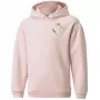 Sudadera con capucha PUMA Alpha Hoodie FL Rosa claro Niños 116 cm