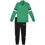 Chándal PUMA Team Rise hombre Forest Night / Puma Black talla M