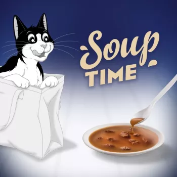 PURINA FELIX Soup ORIGINAL Sabores de pescado 6x48g