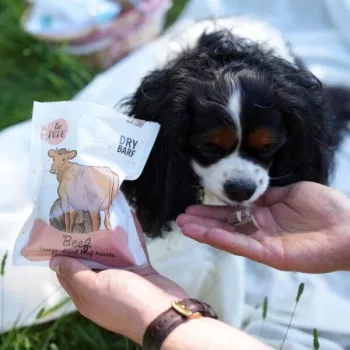 PZW Paka Zwierzaka Lio Pepe Snack de corazones de ternera liofilizados para perros y gatos 60g