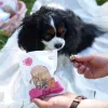 PZW Paka Zwierzaka Lio Pepe Snack para perros de panza de ternera liofilizada 60g