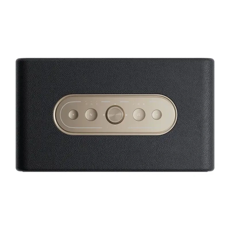 QCY SP300 altavoz inalámbrico (Negro)