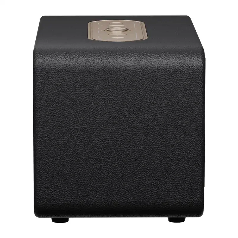 QCY SP300 altavoz inalámbrico (Negro)