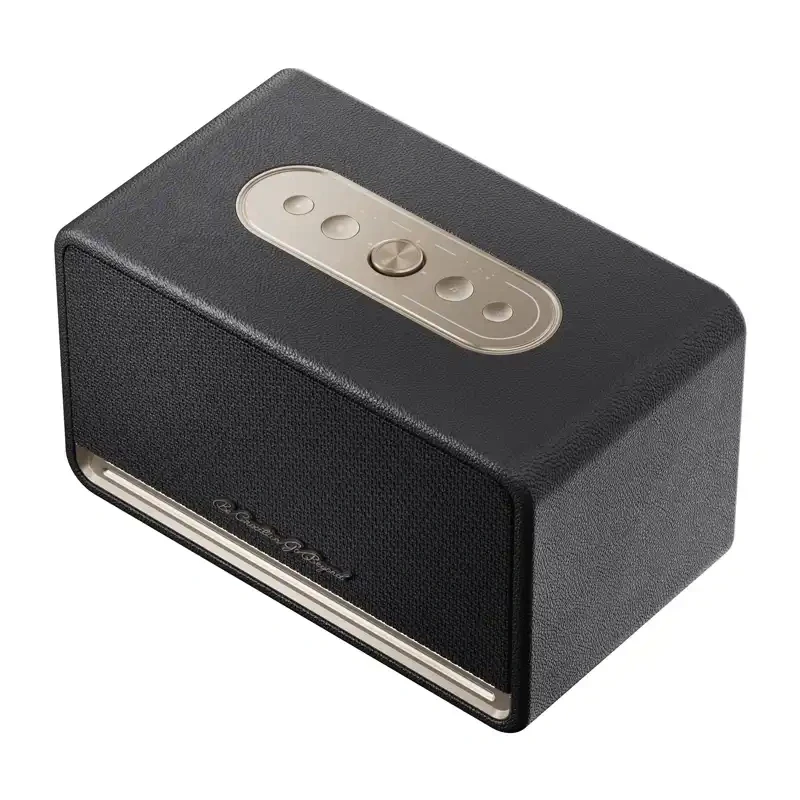 QCY SP300 altavoz inalámbrico (Negro)