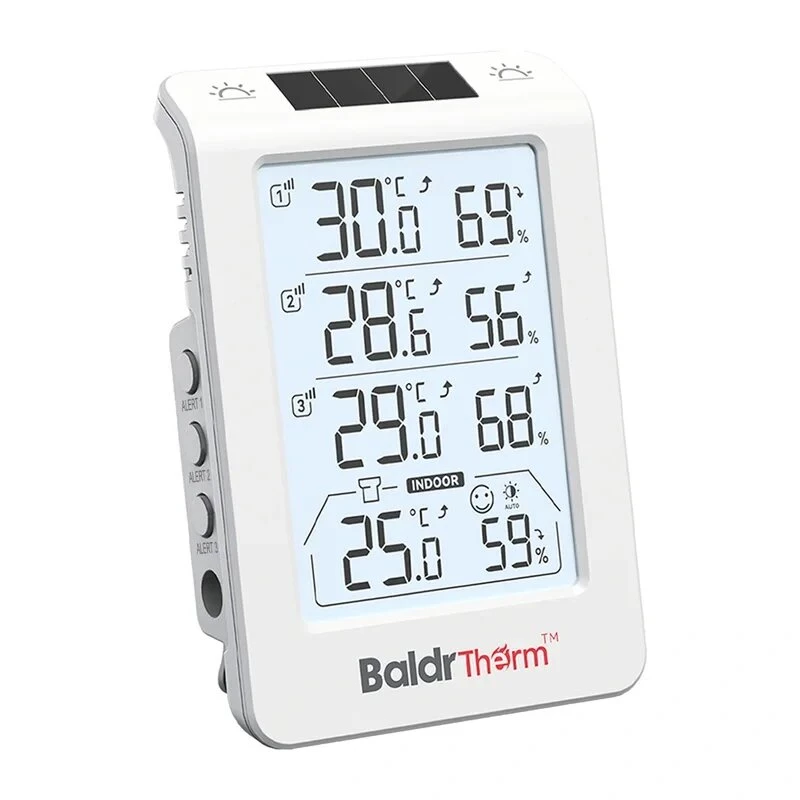 RAINPOINT BALDRTHERM B0598 Termohigrómetro de 3 canales con retroiluminación automática