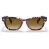 Ray-Ban Frank Square Gafas de sol RB2201 133451 54/17/145 mm
