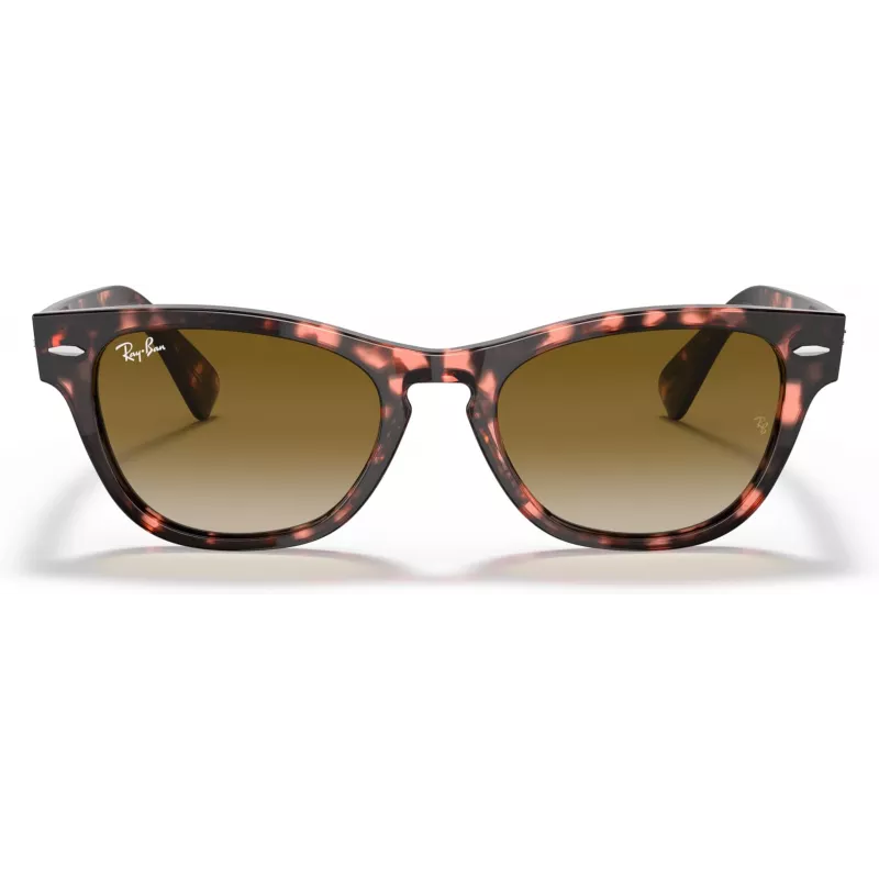 Ray-Ban Frank Square Gafas de sol RB2201 133451 54/17/145 mm