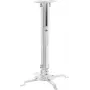 Reflecta Prometheus Soporte de techo para proyectores, orientable e inclinable, plateado 23042