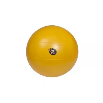 REHA FUND PILO-1045 balón de rehabilitación ABS 65 cm plata/gris