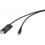Renkforce Cable adaptador USB-C a HDMI 2m negro 4K@60Hz RF-7116130