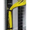 Rittal 5302.120 panel de gestión de cables 1U 19 pulgadas RAL 9005