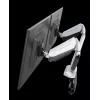 ROCKSTABLE RS-MM011W Soporte profesional para doble monitor - Abrazadera / Pasacables - 16 kg - 38,1 cm (15 pulgadas) - 81,3 cm (32 pulgadas) - 100 x 100 mm - Blanco