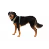 Ruffwear Front Range arnés XS - River Rock Green