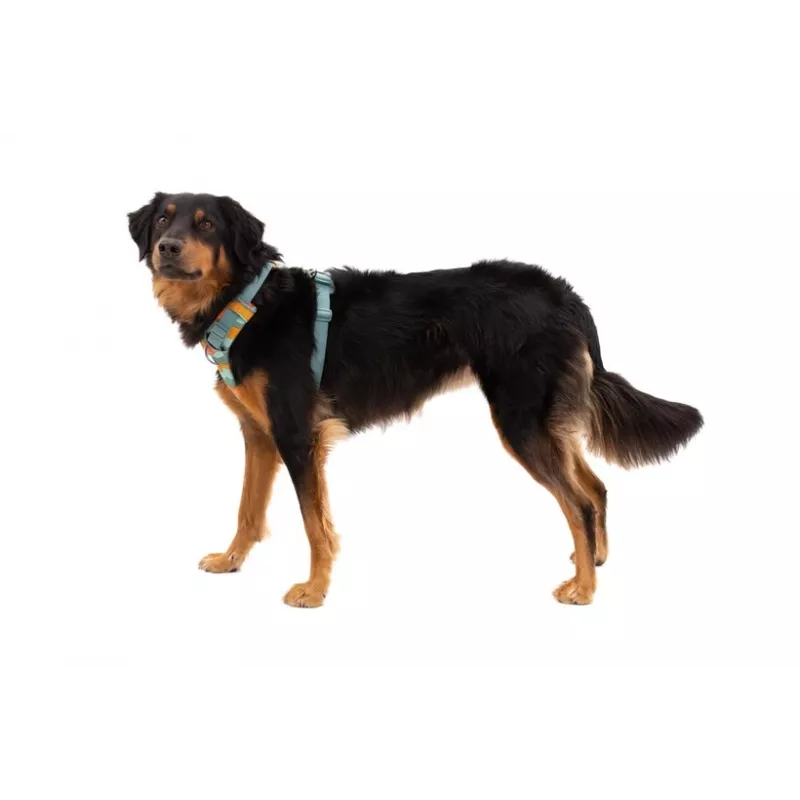 Ruffwear Front Range arnés XS - River Rock Green