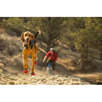 Ruffwear Grip Trex Botas para Perro - Obsidian Black, Talla XXS