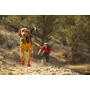 Ruffwear Grip Trex botas para perro - Obsidian Black, XS (par)