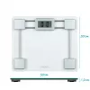 Salter 9081 SVFEU12 Báscula de baño de cristal, plata/transparente