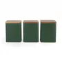 Salter BW12898G Toronto set de 3 recipientes para conservar alimentos, verde