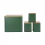 Salter BW12900G Toronto set de 4 piezas para encimera, verde