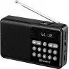 SANDBERG Speaker Radio FM+BT Recharge Altavoz Bluetooth portátil con radio FM, AUX, USB, MicroSD, 6W, Negro