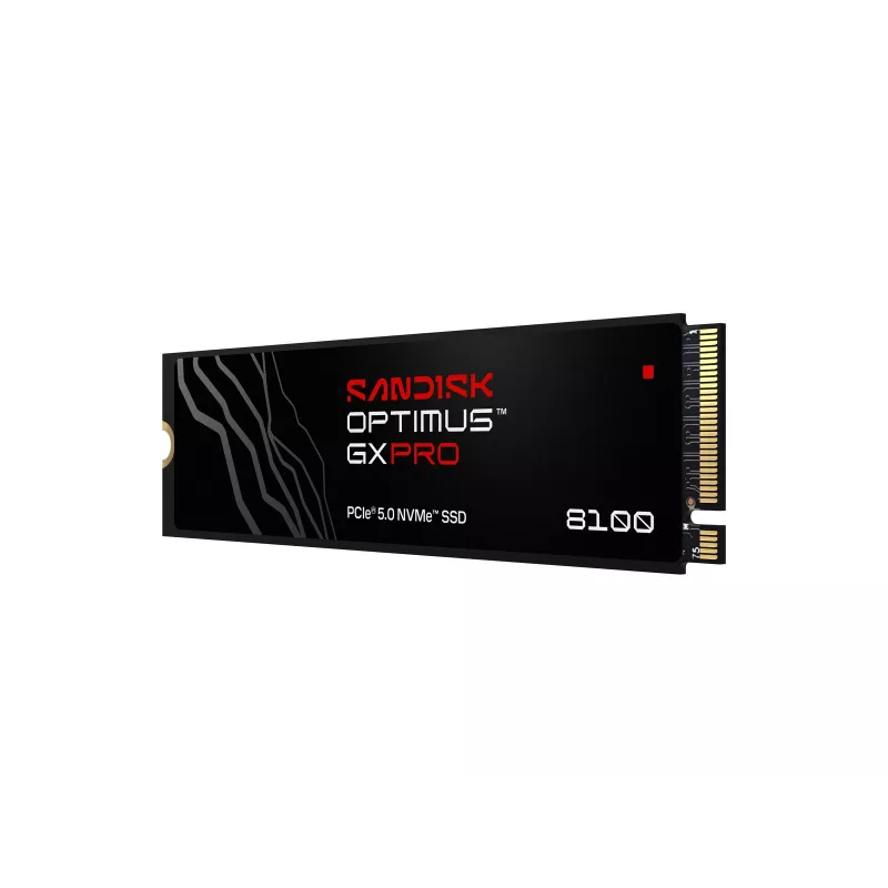 SanDisk SSD interna Optimus GX PRO 8100, 4TB (00233410)