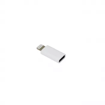 SBOX AD.IPH-TYPEC/R adaptador iPhone 8 macho a USB Type-C hembra