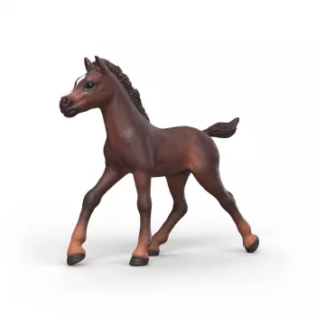 Schleich Horse Club Potro coleccionable Ravi