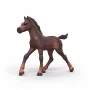 Schleich Horse Club Potro coleccionable Ravi