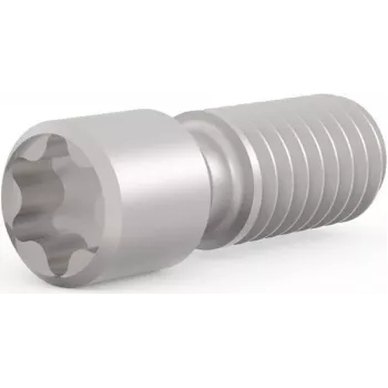 SCHROFF espárrago roscado M2,5 x 9 mm Torx T8, acero, 100 unidades (21102980)