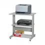 SECOMP Roline Soporte para impresora con ruedas, gris/blanco/gris claro, 2 bandejas, 500x400x600 mm 17.01.1089