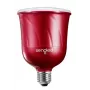 Sengled Pulse Master Rojo