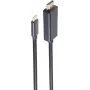SHIVERPEAKS BASIC-S cable USB-C a DisplayPort 1m 8K60Hz negro (BS10-61045)